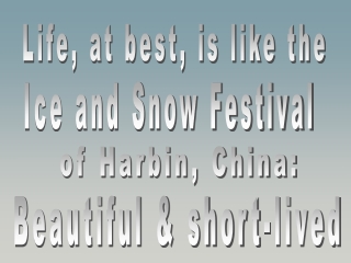 Ice and Snow Festival