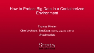 How to Protect Big Data in a Containerized Environment