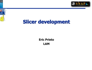 Slicer development