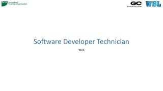 Software Developer Technician