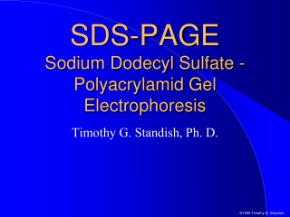 SDS-PAGE Sodium Dodecyl Sulfate - Polyacrylamid Gel Electrophoresis