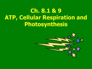 Ch. 8.1 &amp; 9   ATP, Cellular Respiration and Photosynthesis