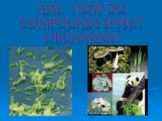 AIM:  How do Compounds effect organisms?