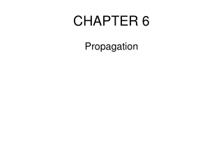 CHAPTER 6