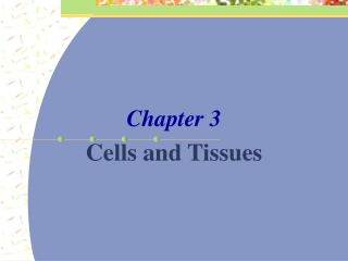 Chapter 3 Cells and Tissues