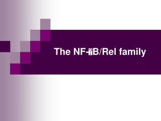 The NF-  B/Rel family
