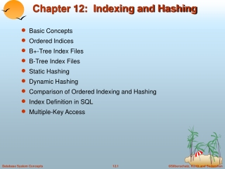 Chapter 12:  Indexing and Hashing