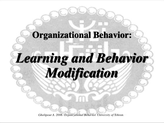 Organizational Behavior: Learning and Behavior Modification