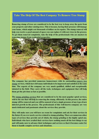 Take The Help Of The Best Company To Remove Tree Stump