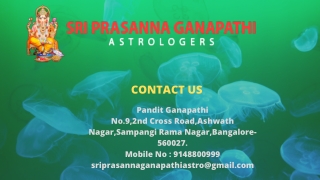 Best Astrologer in Jaipur | Astrologer in Jaipur | Famous Astrologer in Jaipur