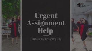 Urgent Assignment Help | Quick Assignment help