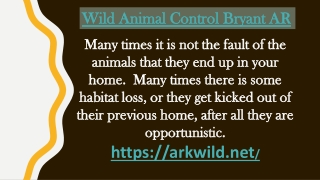 Wild Animal Control Bryant AR