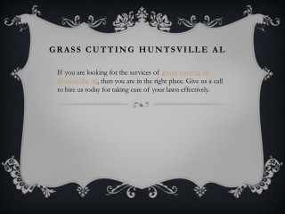 Huntsville Lawn Professionals