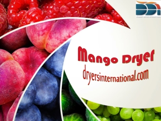 Mango Dryer