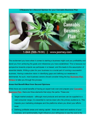 5 Reasons for a Second Opinion for your Cannabis Business Plan