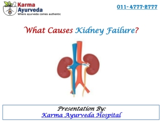 What Causes Kidney Failure?