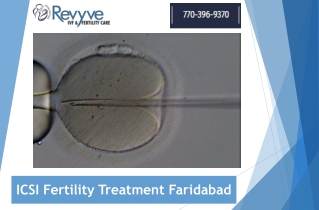 ICSI Fertility Treatment Faridabad