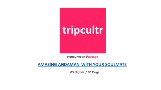 AMAZING ANDAMAN WITH YOUR SOULMATE