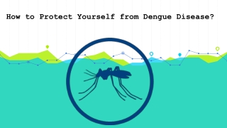 How to Protect Yourself from Dengue Disease?