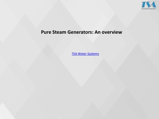 Pure Steam Generators: An overview