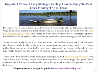 Important Motion Decoy Strategies to Help Hunters Enjoy the Best Duck Hunting Trip in Texas