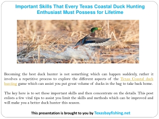 Important Skills That Every Texas Coastal Duck Hunting Enthusiast Must Possess for Lifetime