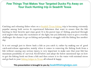 Few Things That Makes Your Targeted Ducks Fly Away on Your Duck Hunting trip in Seadrift Texas