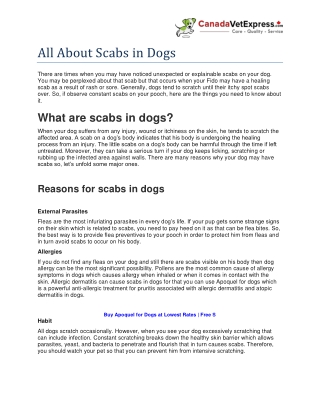 Scabs in Dogs - Causes and Treatments - CanadaVetExpress