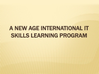 A New Age International IT Skills Learning Program
