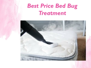 Best chemical free bed bug treatment