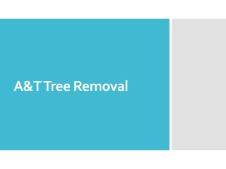 Looking for Tree Surgeon in Hasluck's Green