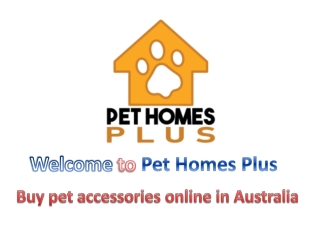 Buy pet accessories online in Australia