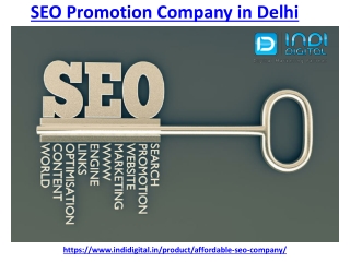 Best SEO promotion company in delhi