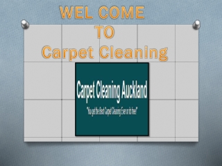 Carpet Cleaning Auckland | Hire Professional Rug Cleaners | 09-377 9044