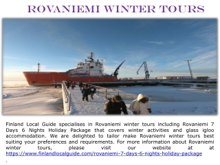 Rovaniemi Winter Tours