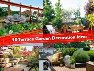 10 most Famous Terrace Garden Decoration Ideas | 91-9717473118