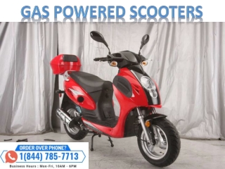 Variety Brands of Gas Powered Scooters For Sale