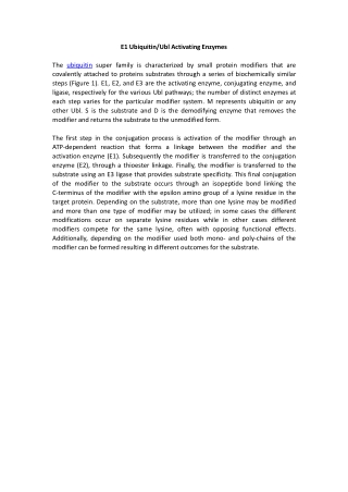 Ubiquitin and Ubiquitin-like Modifiers