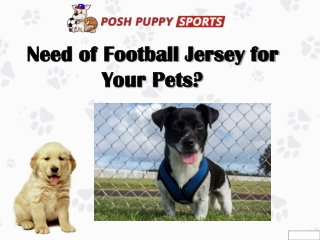Need of Football Jersey for Your Pets?