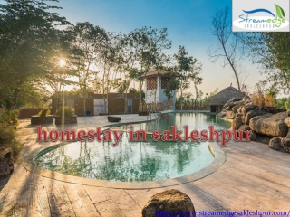 Best Homestay in Sakleshpur