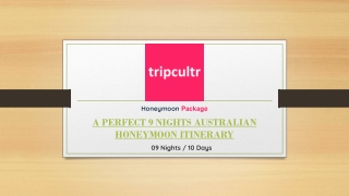 A PERFECT 9 NIGHTS AUSTRALIAN HONEYMOON ITINERARY