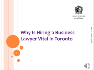 Why Is Hiring a Business Lawyer Vital in Toronto