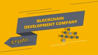 BLOCKCHAIN DEVELOPMENT COMPANY