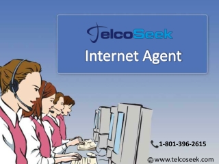 Internet Agent - TelcoSeek, Phoenix, Arizona