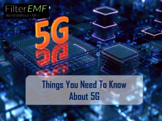 Things You Need To Know About 5G