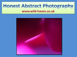 Honest Abstract Photography