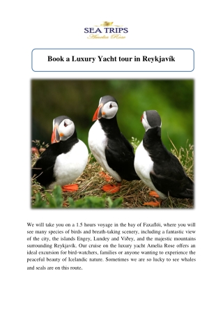 Book a Luxury Yacht tour in Reykjavík