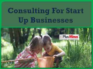 Consulting For Start Up Businesses