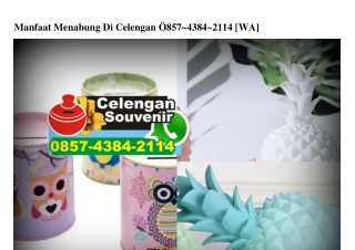 Manfaat Menabung Di Celengan Ô85743842114[wa]