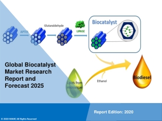 Biocatalyst Market: Global Industry Share, Size, Trends, Growth and Business Opportunity by 2025